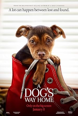ดูหนังออนไลน์ฟรี A Dogs Way Home (2019)