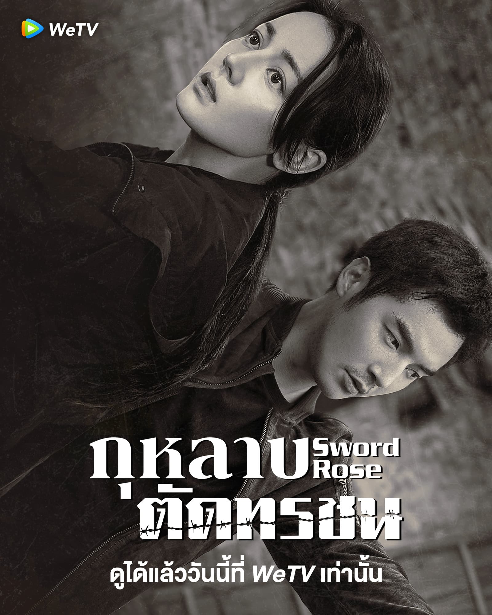 ดูหนังออนไลน์ฟรี ซีรี่ย์จีน Sword Rose (2025) กุหลาบตัดทรชน ซับไทย