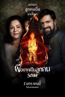 ดูหนังออนไลน์ฟรี Stray (Tvar) ผีอยากเป็นลูกคน (2019)