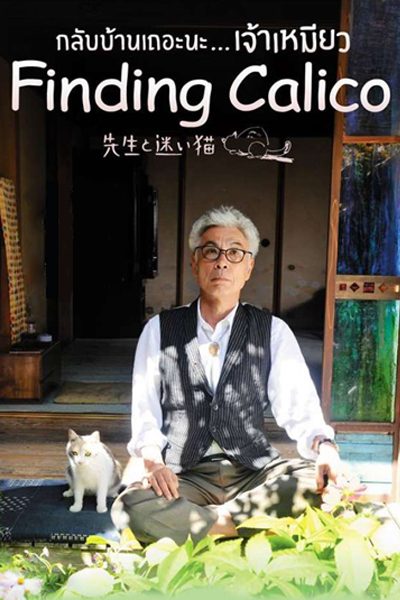 ดูหนังออนไลน์ฟรี Finding Calico (2015) กลับบ้านเถอะนะ…เจ้าเหมียว