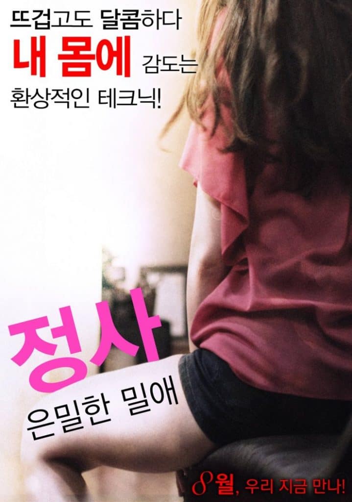 ดูหนังออนไลน์ฟรี Love Affair A Secret Affair (2016) [เกาหลี 18+]
