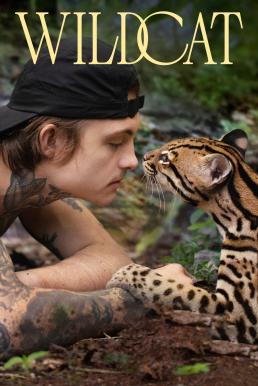 ดูหนังออนไลน์ฟรี Wildcat (2022) บรรยายไทย