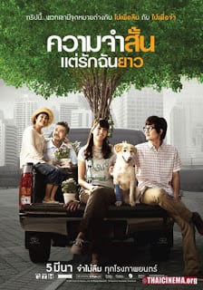 ดูหนังออนไลน์ฟรี Best in Time (2009) ความจำสั้น แต่รักฉันยาว