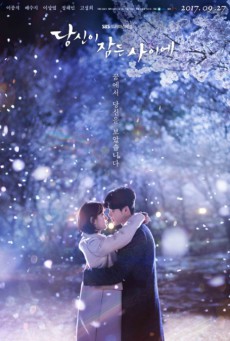 ดูหนังออนไลน์ฟรี While You Were Sleeping (2017) ลิขิตฝันฉันและเธอ