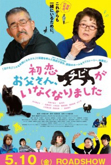 ดูหนังออนไลน์ฟรี Only The Cat Knows (2019) เจ้าเหมียวจิบิหายไปไหนนะ
