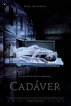ดูหนังออนไลน์ฟรี Cadaver ห้องเก็บศพ
