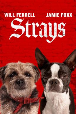 ดูหนังออนไลน์ฟรี Strays ชีวิตหมาต้องไม่หมา (2023) บรรยายไทย