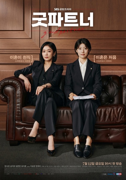 ดูหนังออนไลน์ฟรี Good Partner (2024) คู่หูทนายตัวแม่