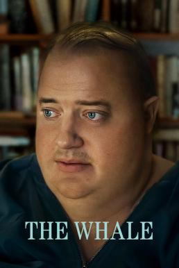 ดูหนังออนไลน์ฟรี The Whale เหงา เท่า วาฬ (2022)