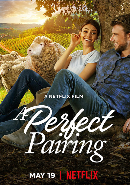 ดูหนังออนไลน์ฟรี A Perfect Pairing (2022) คู่นี้… คือเพอร์เฟค