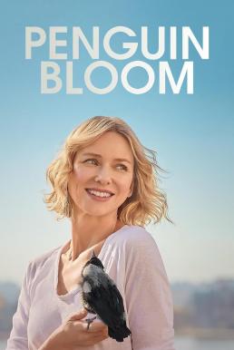ดูหนังออนไลน์ฟรี Penguin Bloom (2020) เพนกวิน บลูม