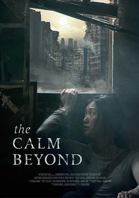 ดูหนังออนไลน์ฟรี The Calm Beyond (2020)