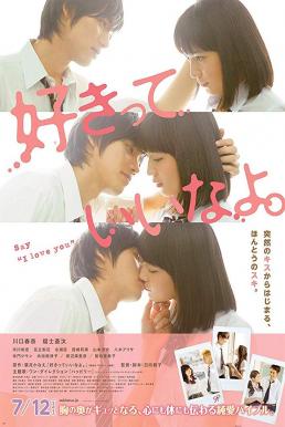 ดูหนังออนไลน์ฟรี Say I Love You (2014) พูดว่ารัก…กับฉันสิ