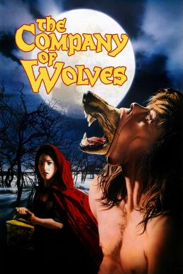 ดูหนังออนไลน์ฟรี The Company of Wolves (1984) เขย่าขวัญสาวน้อยหมวกแดง