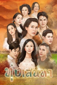 ดูหนังออนไลน์ฟรี ทุ่งเสน่หา