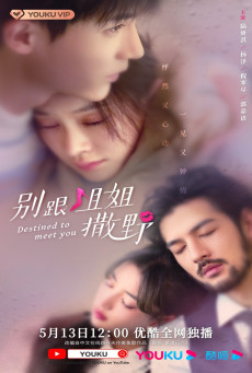 ดูหนังออนไลน์ฟรี ซีรี่ย์จีน Destined to Meet You (2022) เดสทินี รักนี้พี่ขอ ซับไทย