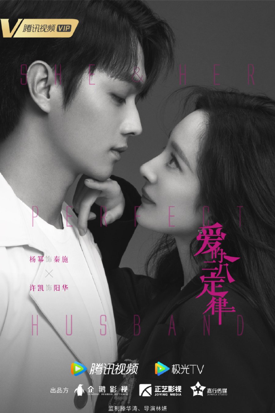 ดูหนังออนไลน์ฟรี She and Her Perfect Husband (2022) กฎล็อกลิขิตรัก