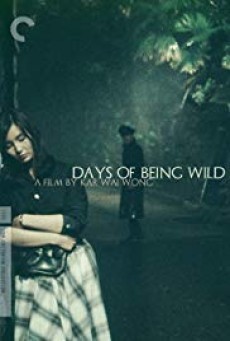 ดูหนังออนไลน์ฟรี Days Of Being Wild วันที่หัวใจรักกล้าตัดขอบฟ้า