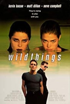 ดูหนังออนไลน์ฟรี Wild Things 1 เกมซ่อนกล 1