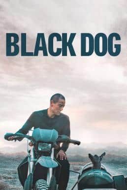 ดูหนังออนไลน์ฟรี Black Dog สี่ขาหัวใจไม่ดำ (2024)