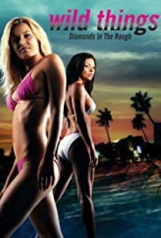 ดูหนังออนไลน์ฟรี Wild Things 3 Diamonds in the Rough ( เกมซ่อนกล 3 )