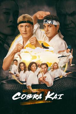 ดูหนังออนไลน์ฟรี Cobra Kai : คอบร้า ไค Season 6 (2024) Netflix บรรยายไทย