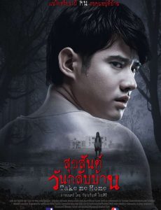ดูหนังออนไลน์ฟรี Take Me Home (2016) สุขสันต์วันกลับบ้าน