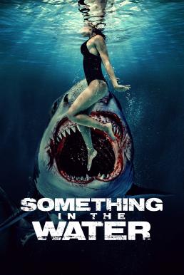 ดูหนังออนไลน์ฟรี Something in the Water ครีบขย้ำคลั่งมหาสมุทร (2024)